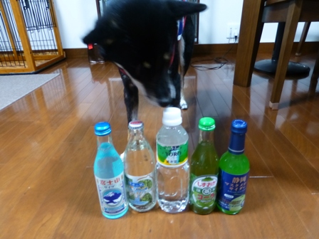信州土産1