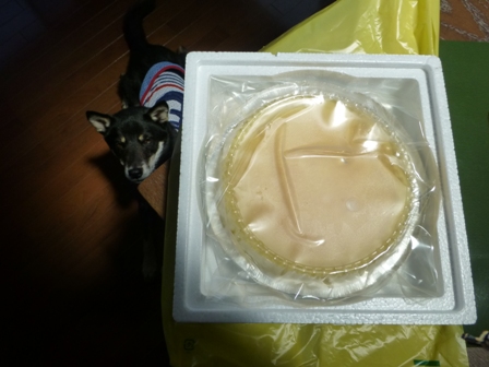 信州土産12