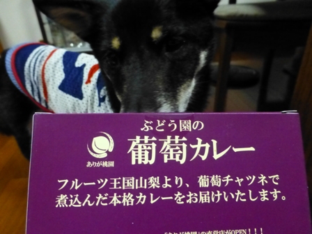 ぶどう園の葡萄カレー2
