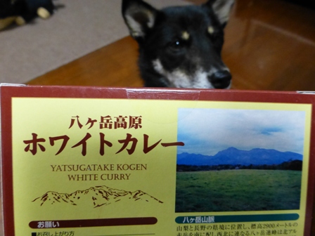 ホワイトカレー4