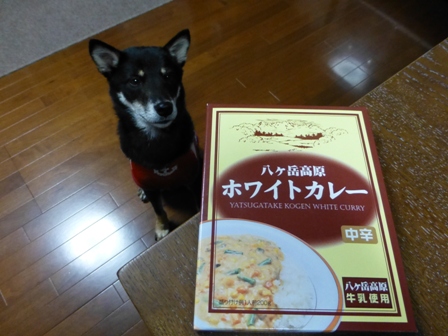 ホワイトカレー5