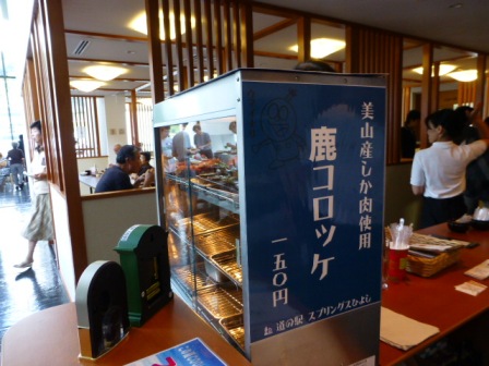 日吉ダム見学2