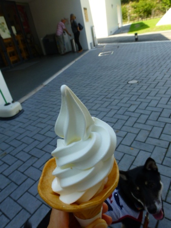 日吉ダム見学16