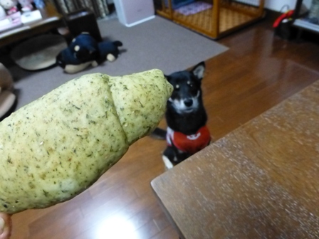 日吉ダム見学19