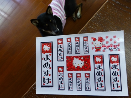 大丸キティフェア20