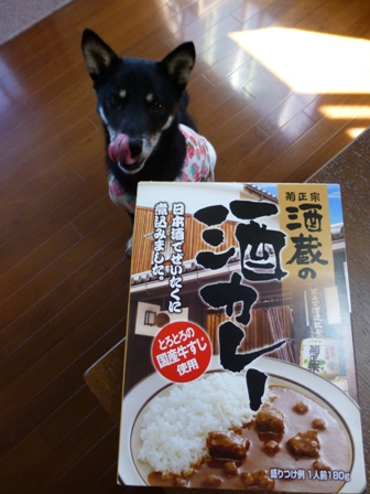 酒蔵の酒カレー1