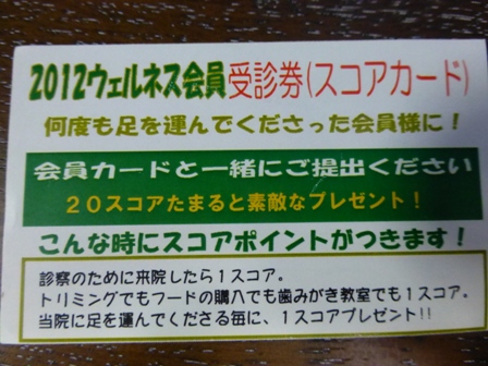 9月7日病院6