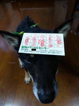 9月7日病院5