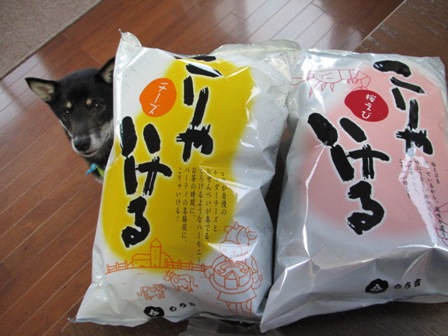 9月7日病院20