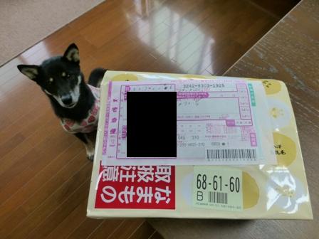 金澤烏鶏庵1