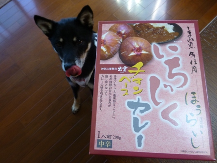 いちじくカレー2
