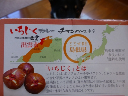 いちじくカレー3