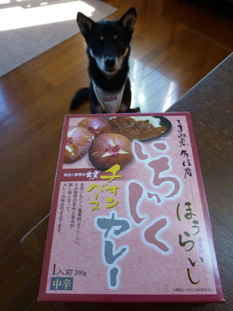 いちじくカレー1