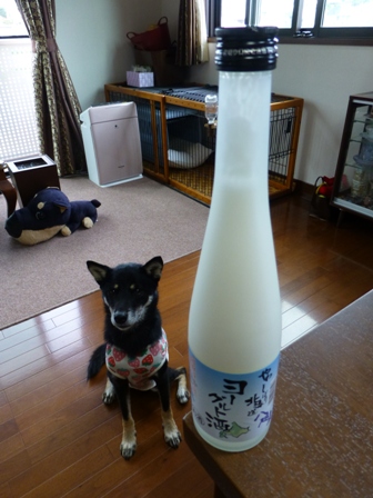 ヨーグルト酒1