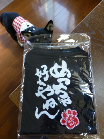めっちゃ好きやねん1
