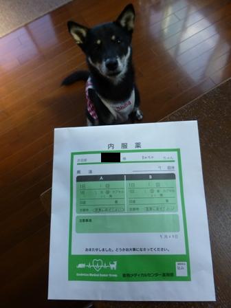 ワクチン接種3