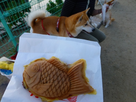 たい焼きデート11