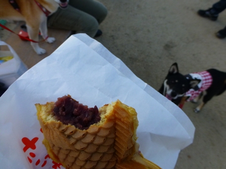 たい焼きデート12