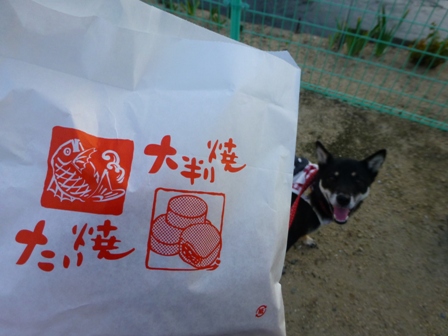 たい焼きデート10