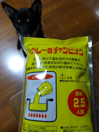 たい焼きデート31