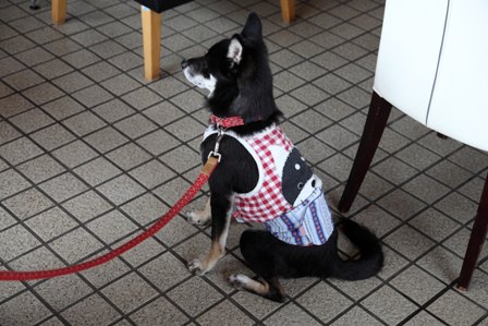 フラウヘン4