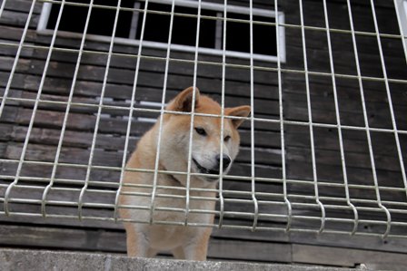 フラウヘン1