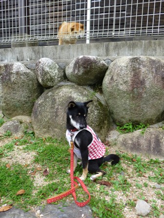 フラウヘン16