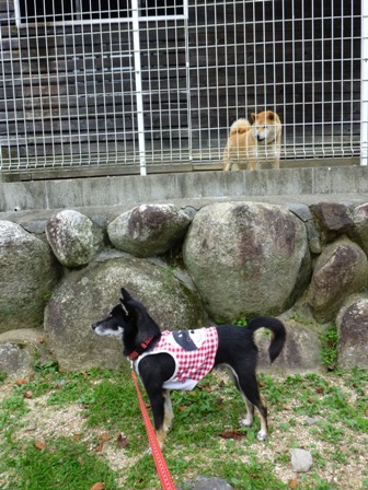 フラウヘン14