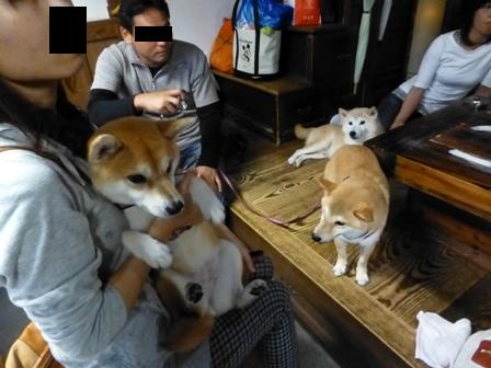 柴漬けぽ庵1