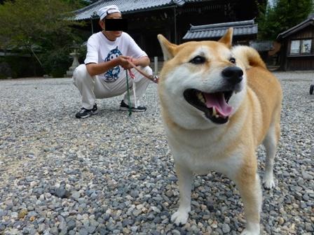 柴漬けぽ庵23