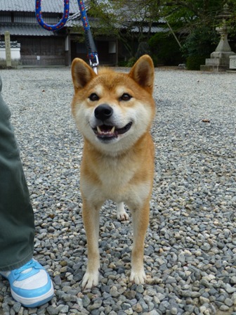 柴漬けぽ庵21