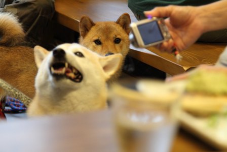 柴漬けぽ庵26