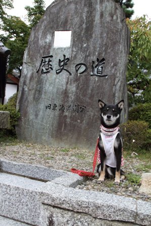 柴漬けぽ庵35