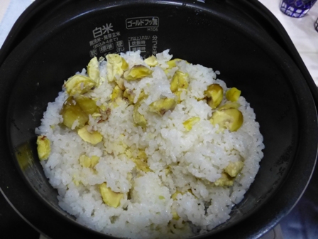 丹波黒豆24