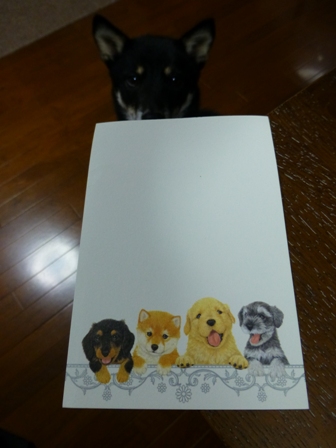 とちおとめカルピス4