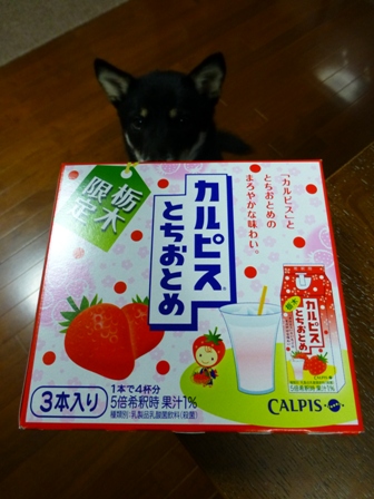 とちおとめカルピス3