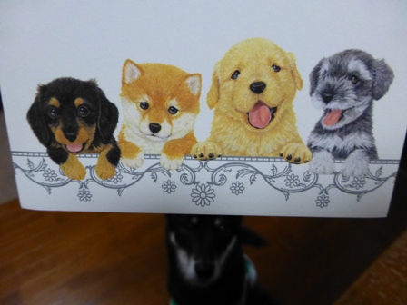 とちおとめカルピス5