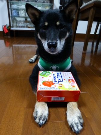 とちおとめカルピス6