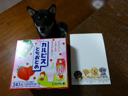 とちおとめカルピス2