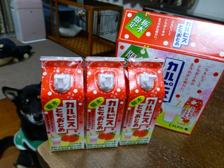 とちおとめカルピス10