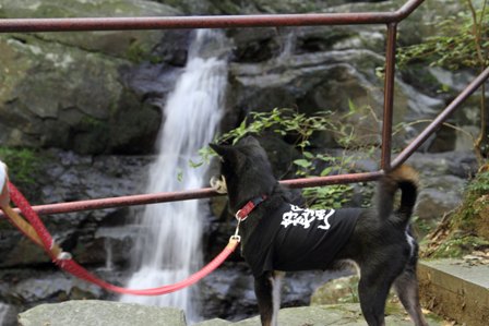 犬鳴山2