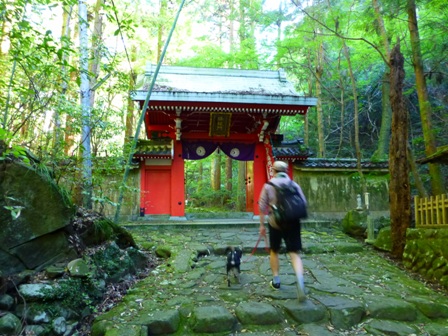 犬鳴山9