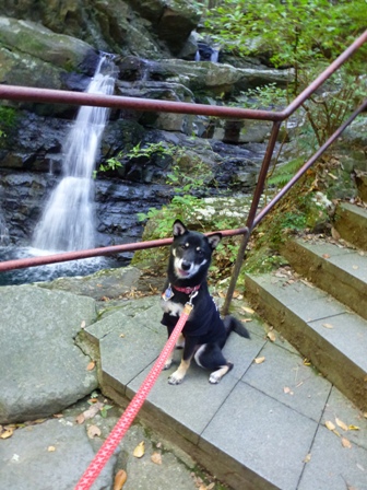 犬鳴山7