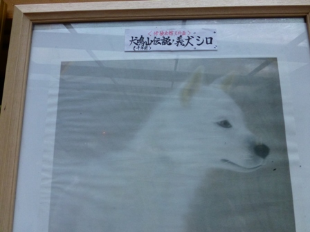 犬鳴山21