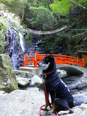 犬鳴山22