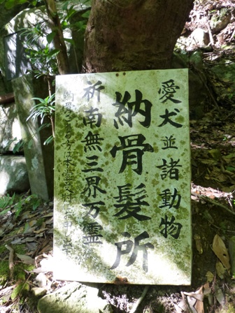 犬鳴山30