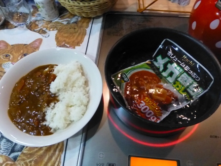 真夜中のカレー5