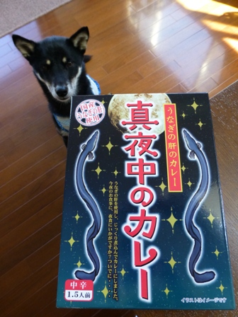 真夜中のカレー1