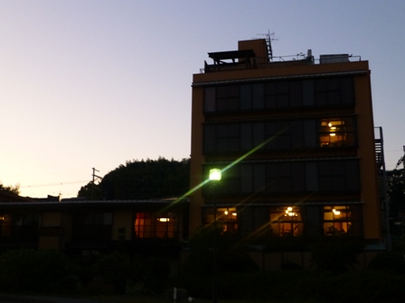 きくのや12