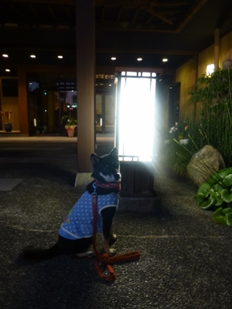 きくのや13